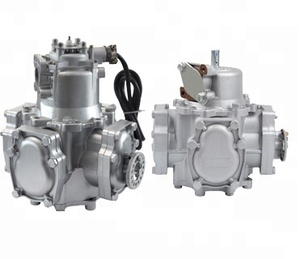 --- Brandstof Dispenser Flow Meter, Tokheim Flow Meter,Tatsuno Flow Meter Met Pulser - Product Image 5