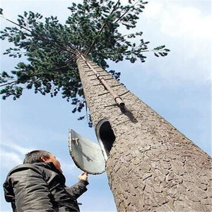 20M 25M 30M 35M 40M 45M 50M 55M 60 Mét Miễn Phí Thường Vụ Ngụy Trang Bionic Nhân Tạo <span class=keywords><strong>Telecom</strong></span> Cây Thông Gsm Tháp Nhà Máy - Product Image 2