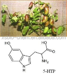 Extracto de Semilla de <span class=keywords><strong>Griffonia</strong></span> <span class=keywords><strong>Simplicifolia</strong></span> de Grado Alimenticio de Alta Calidad con Certificación GMP, Polvo de Hidroxitriptófano 5-HTP, Certificado Halal, HPLC - Product Image 4