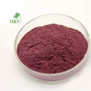 100% pure natural aronia berry 20:1 aronia chokeberry extract