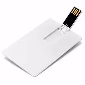 Custom Bulk Business Card Style USB Flash Drive 1GB