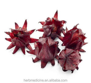 Obral Basis Penanaman ROSELLE Kembang Sepatu Merah Kering Bunga Sabdariffa untuk Dijual - Product Image 3