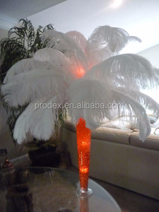 Plumes d'autruche blanches, décoration de mariage, 12 pièces - Product Image 3