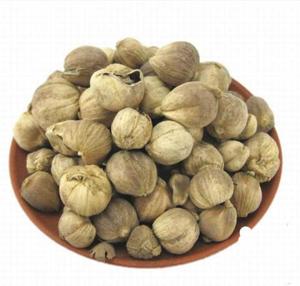 <span class=keywords><strong>Cardamomo</strong></span> Blanco Seco Natural Bai Dou Kou, Amomum Kravanh Pierre Ex Gagnep, Frutas para Especias - Product Image 6