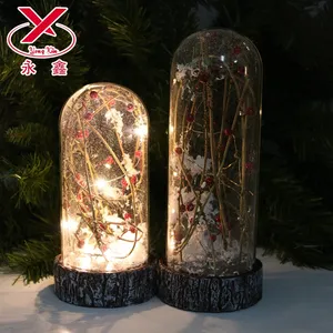 批发吹制玻璃饰品 LED 玻璃瓶圣诞装饰品