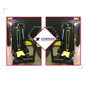 <span class=keywords><strong>Torso</strong></span> — équipement de gymnastique pour hommes, musculation professionnelle, fitness rotatif - Product Image 6