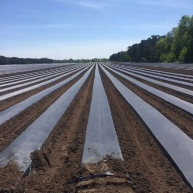 Feuille de paillis de polyéthylène en plastique agricole noir et argent, film de paillis réfléchissant de couverture de sol de lutte contre les mauvaises herbes, film de paillis végétal