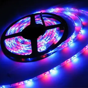 New Style Hot selling 5M 5050 3528 60leds/m DC12V Flexible Single Color RGB waterproof heat resistant led strip light