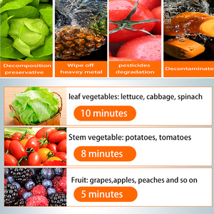 ASQ 120J Fabrika toptan Bağlantısız Paslanmaz çelik ultrasonik Meyve ve sebze yıkama makineleri - Product Image 3