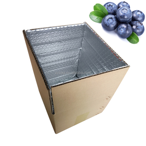 Caja de Embalaje Aislante de Cartón Corrugado Isotérmico de Burbujas de Aluminio Reutilizable de 5 kg <span class=keywords><strong>para</strong></span> Envío de Frutos Secos - Product Image 6