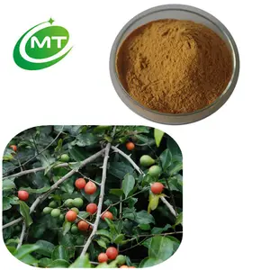 Organic salacia reticulata root extract powder