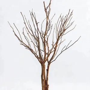 For Wedding Decoration Dry Tree Coral Branches Dry Tree Branch