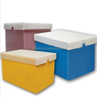 Pliable pp boîte d'archives en carton ondulé, boîte à archives, documents boîte