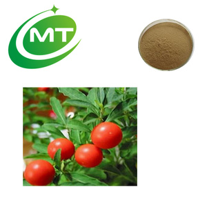 Poudre d'extrait d'<span class=keywords><strong>ashwagandha</strong></span> de haute qualité, pure et naturelle, 1% de withanolides - Product Image 2