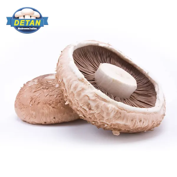 Detan Fresh Cultivated Portobello Mushroom