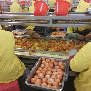 Çin konserve satsuma mandarin ve toplu mandarin portakallar konserve mandalina portakal üreticileri