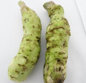Raiz de <span class=keywords><strong>wasabi</strong></span> cru japonais séché, Namida et Bergstockrose, Eutrema Japonicum, rhizome - Product Image 2