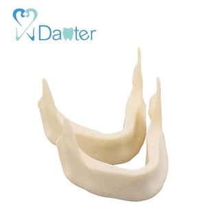 Di alta Qualità Dentale Mandibola Modello con Resina e Spugnoso Osso per gli Studenti Pratica - Product Image 3