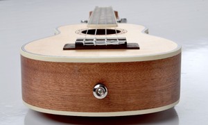 <span class=keywords><strong>Ukelele</strong></span> Acústico de la Serie con Mástil de Caoba Sólida y Diapasón de Palisandro - Fábrica de Guangdong - Product Image 4
