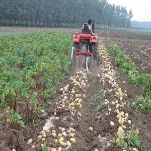 Juyou Taro Reaping Mesin Bawang Putih Reaping Mesin Bawang Putih Pemanen