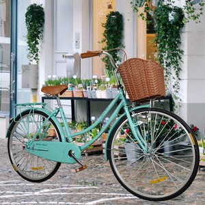 <span class=keywords><strong>Vélo</strong></span> <span class=keywords><strong>de</strong></span> <span class=keywords><strong>ville</strong></span> vintage populaire pour <span class=keywords><strong>femme</strong></span>, nouveau modèle 24 pouces 26 pouces, <span class=keywords><strong>vélo</strong></span> <span class=keywords><strong>de</strong></span> <span class=keywords><strong>ville</strong></span> pour <span class=keywords><strong>femme</strong></span> <span class=keywords><strong>avec</strong></span> <span class=keywords><strong>panier</strong></span> - Product Image 5
