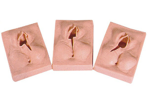 Model Latihan Jahitan Vulva Tingkat Lanjut Model Praktik Penjahitan <span class=keywords><strong>Vagina</strong></span> - Product Image 3