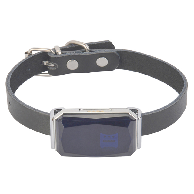 Best Selling IP67 Waterproof Mini Pet GPS tracker for Dog/cat/cow/cattle/animal Real Time Tracking