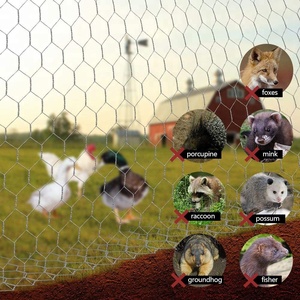 <span class=keywords><strong>Jaula</strong></span> de conejo, malla de alambre Hexagonal galvanizado para cría - Product Image 6