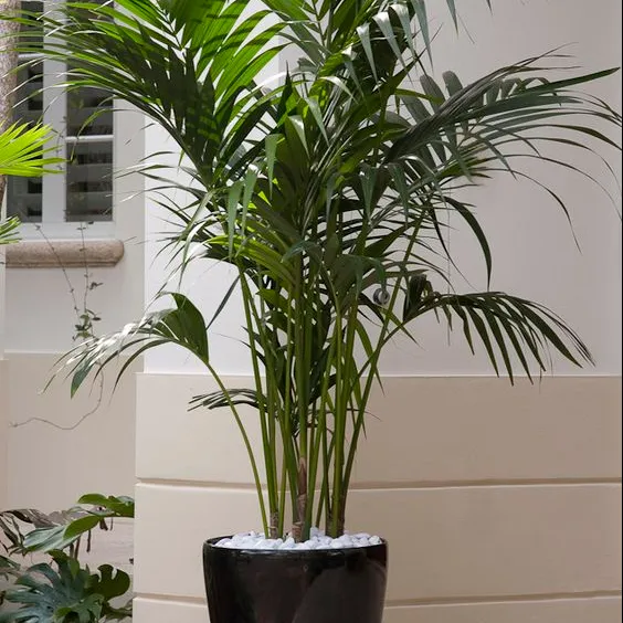 Home decorative bonsai plant potted artificial Areca palm