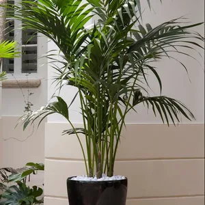 Maison décorative bonsaï plante en pot artificielle Areca palm