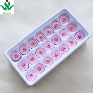 ดอกกุหลาบ Austin สำหรับการจัดดอกไม้หัวดอกกุหลาบนิรันดร์ขนาดมินิ2-3ซม. ที่เก็บรักษาไว้ - Product Image 3