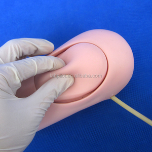 Modelo Avanzado de Brazo Amputado y Hemorragia por Trauma en Miembros Superiores - Product Image 2