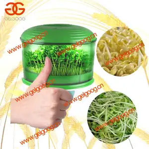 Hot Sale Mini Bean Sprout Machine|Drum type Alfalfa Sprouts Machine|Black Bean Sprout Machine