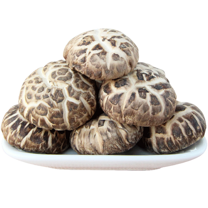 Export Flower Shiitake Mushroom Dried from Fresh Raw Material