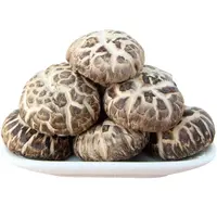 Export Flower Shiitake Mushroom Dried from Fresh Raw Material