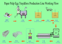 Pulp Eiplaat Lade Vormen Machine/Pulp Gietmachines