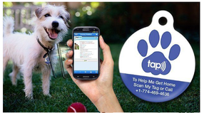 사용자 정의 QR 코드 <span class=keywords><strong>RFID</strong></span> 에폭시 태그 NFC 213 칩 액세스 제어 카드 개 고양이 <span class=keywords><strong>RFID</strong></span> 애완 동물 추적 태그 - Product Image 6