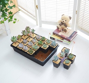 Nhựa Bền Hoa Phẳng Chậu Cây Đứng Chủ Hạt Giống Nảy Mầm Vườn Ươm Phát Triển Khay Tuyên Truyền Với Nắp Vòm - Product Image 4