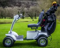 Controlador eléctrico de un solo asiento, buggy de golf con soporte para bolsa de golf, OEM, 24V, 1000W