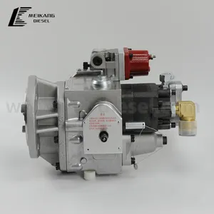 3052770 3060179 Fuel pumpe für Cummins NTA855