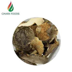 Top qualidade de cogumelo desidratado preço do cogumelo ostra