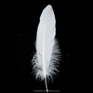 Black White Goose Feather, Black Feathers White Sewing