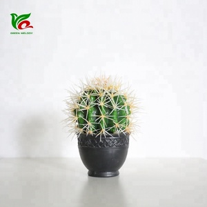 Màu Xanh Lá Cây Với Chậu 18Cm Ghép Xương Rồng Nhỏ Bằng Nhựa Nhân Tạo Xương Rồng Làm Đồ Trang Trí Trong Nhà - Product Image 1