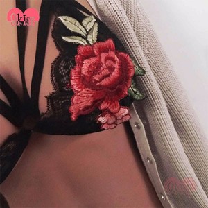 Diseño atractivo Strappy Lace Bustier Bralette Ropa Interior Escarpada Europea - Product Image 3