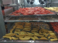 Fruitdroger/voedselwarmtepompdehydrator voor commercieel gebruik van persimmon en groenten, grote capaciteit 1000 kg, 304 roestvrij staal