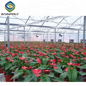 Policarbonato invernadero hidropónico <span class=keywords><strong>agricultura</strong></span> - Product Image 3