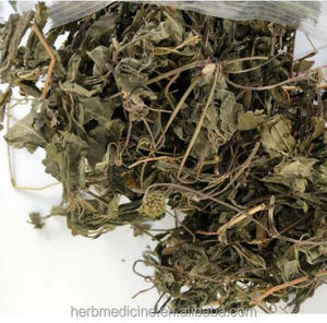 Foglie di Panax Notoginseng <span class=keywords><strong>SAN</strong></span> QI YE, Nuove Foglie Essiccate di Panax Notoginseng per Tisane Salutari - Product Image 3