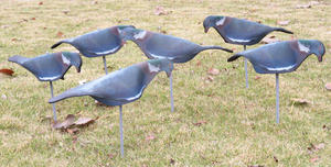 Vườn EVA mềm chim bồ câu vỏ săn mồi sơn gỗ chim bồ câu săn bắn bắn toàn thân + dính di chuyển - Product Image 5