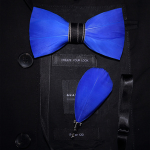 संयुक्त राज्य अमेरिका डिजाइन फैशन पंख के साथ उत्तम हाथ से बने <span class=keywords><strong>Bowtie</strong></span> और ब्रोच सेट उपहार बॉक्स पुरूष वेडिंग पार्टी पुरुषों धनुष टाई