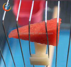 Cage à oiseaux avec <span class=keywords><strong>fourchette</strong></span> pour chien, accessoire pour animaux domestiques, utiliser comme porte-fruits - Product Image 4